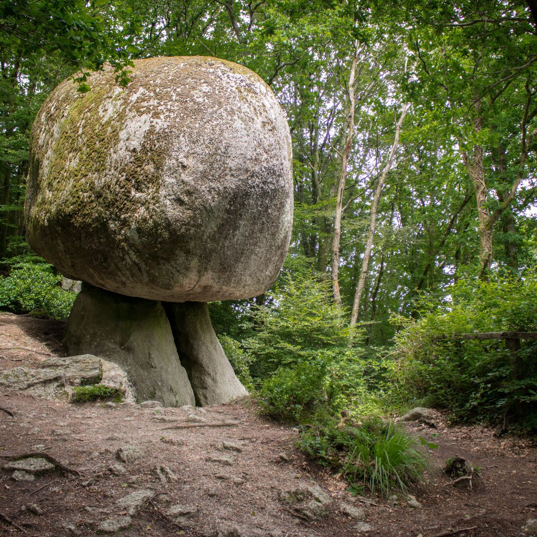 Finistere Huelgoat champignon