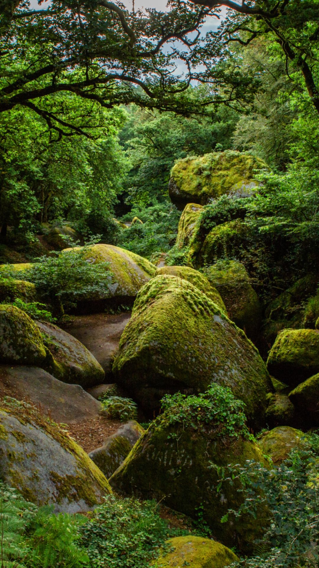 Finistere Huelgoat chaos