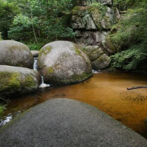 Finistere Huelgoat mare aux sangliers