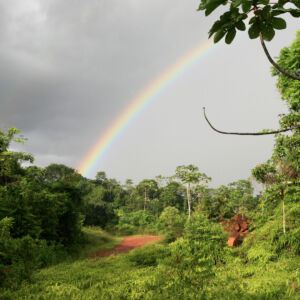 Guyane-Française-Amazonie