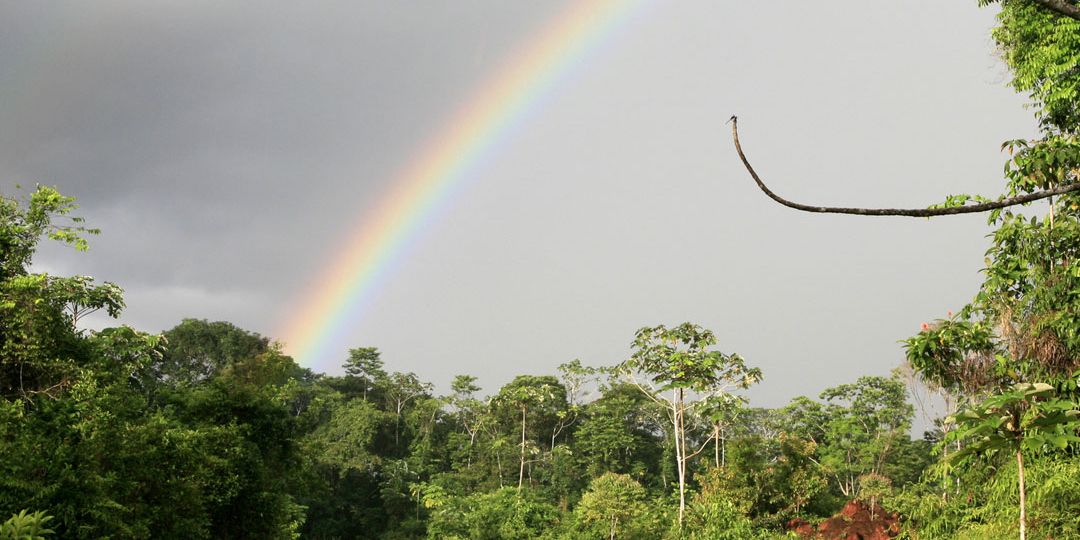 Guyane-Française-Amazonie