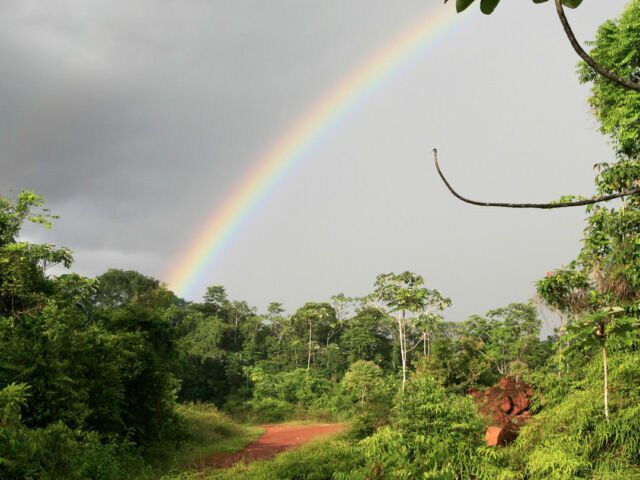 Guyane-Française-Amazonie