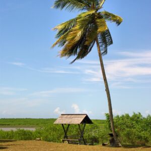 Guyane française Awala Yalimapo