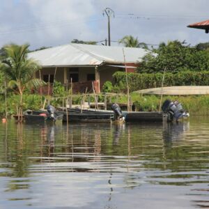 Guyane française Regina