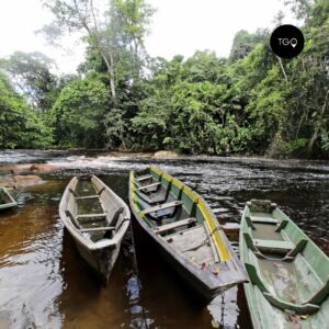 Guyane française des pirogues