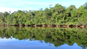 Guyane française descendre un fleuve