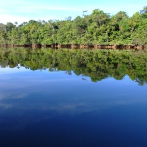 Guyane française fleuve dans la forêt tropicale