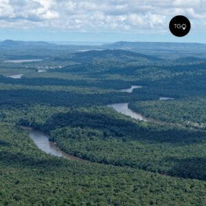 Guyane française forêt tropicale