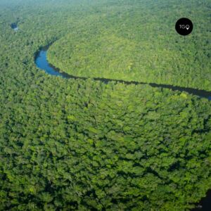 Guyane française forêt tropicale 2