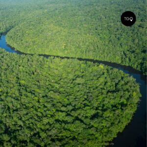 Guyane française forêt tropicale 4