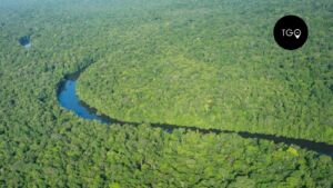 Guyane française forêt tropicale2