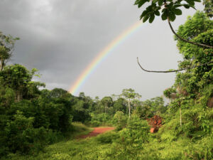 guyanefrancaise-foret-tropicale-arc-en-ciel