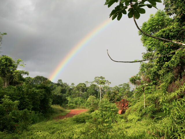 guyanefrancaise-foret-tropicale-arc-en-ciel2