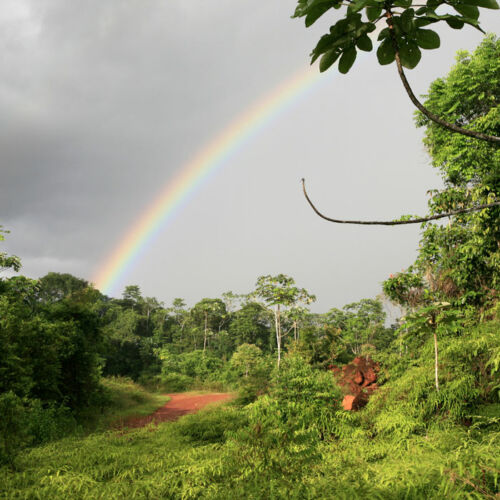 guyanefrancaise-foret-tropicale-arc-en-ciel2