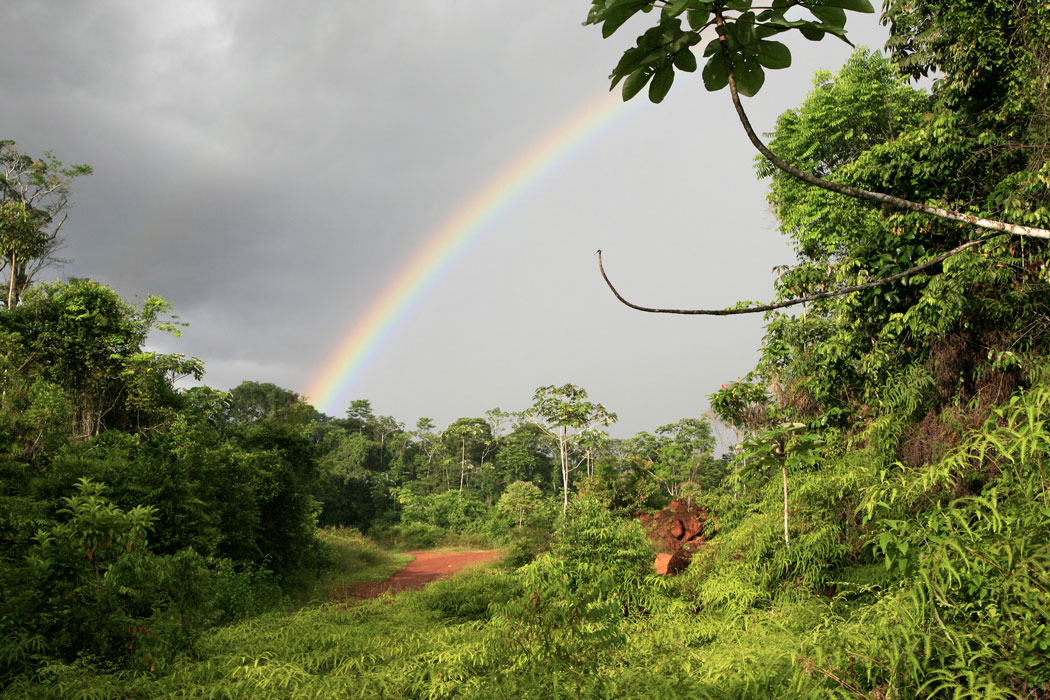 guyanefrancaise-foret-tropicale-arc-en-ciel2