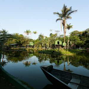 Brésil Manaus