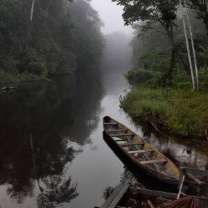 Brésil Manaus 20