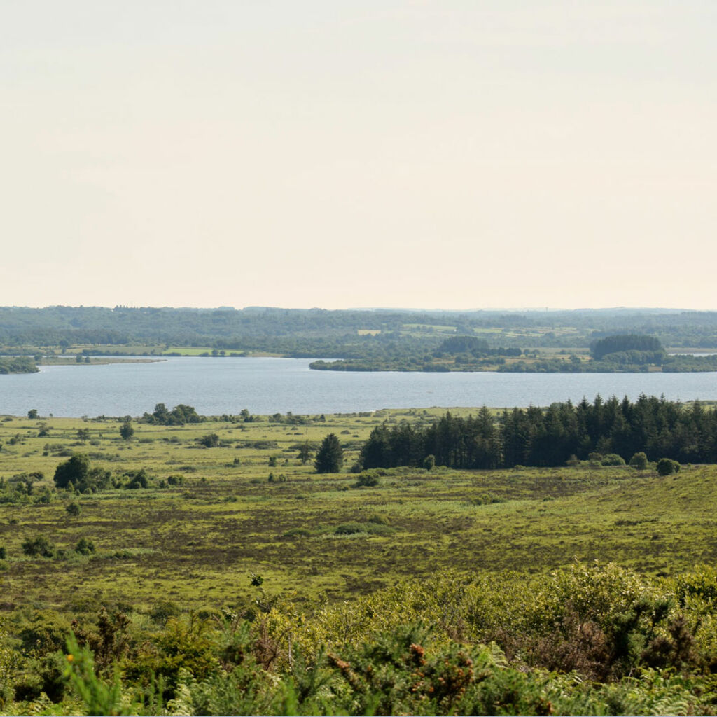 Les Monts d'Arrée