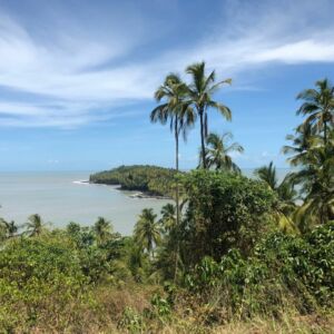 Guyane française forêt mer