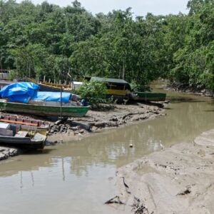 Guyane française forêt rivière bateaux