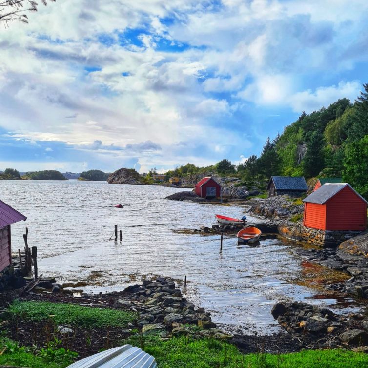 Norvège Bergen fjords 15