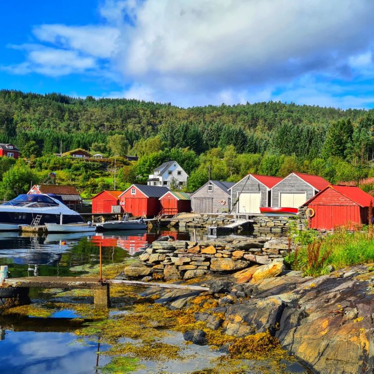 Norvège Bergen fjords maison3