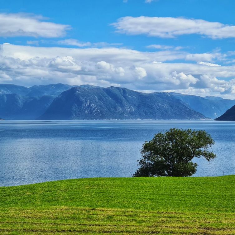 Norvège Bergen fjords12