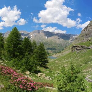 France Les Alpes Les Écrins Vallouise18