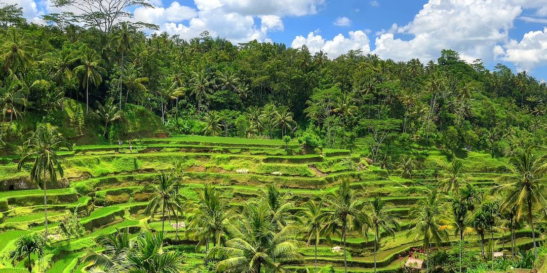 Indonésie Bali Ubud