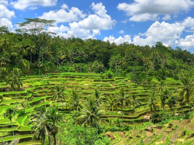 Indonésie Bali Ubud