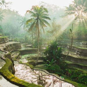 Indonésie Bali Ubud5