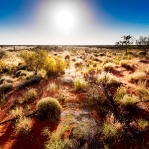 Australie-Outback-10