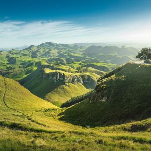 Nouvelle-Zélande--Napier-(5)